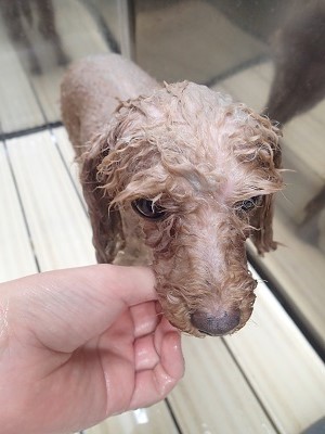 『ふぅ。リラックスタイム♪』