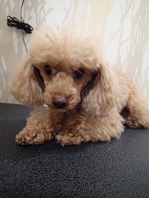 『結構伸びたでしょ？』