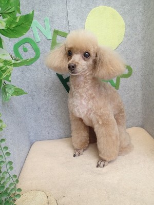 『いつも通り！良い感じ♪』