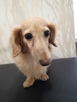 『朝方はすこし肌寒くなってきたね。』