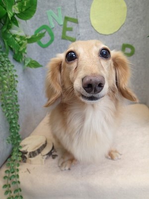 『今回もサラサラ～』 