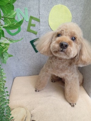 『スッキリ可愛くしてもらえたー！！』