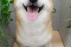 『真っ白になった～♪』