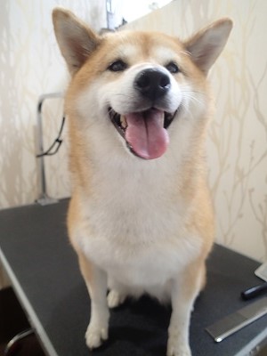 『結構抜けるかも～』