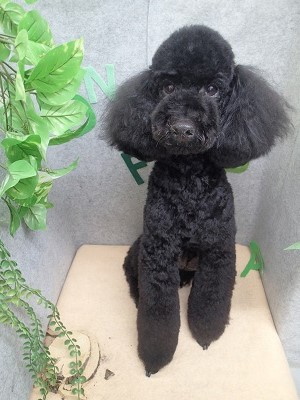 『スッキリしたー！！』