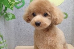 『スッキリしました！！』