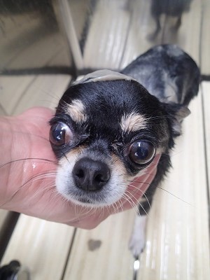 『つるつる~♪』