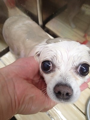 『パックでしっとり♪』