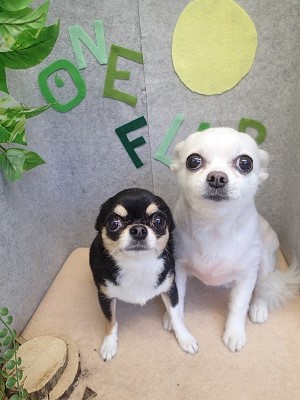 『今日も気持ちよかったです♪』