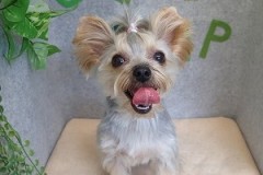 『可愛くしてもらったぜ～♪』