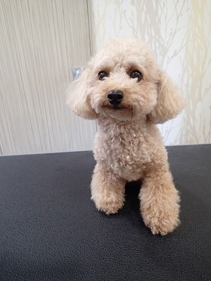 『また可愛くしてね！』