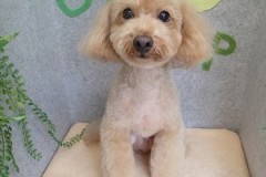 『いろんな子いるね♪』