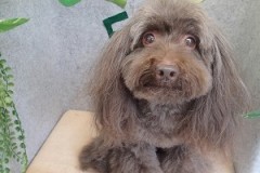 『お迎えまだかなー♪』