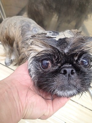 『いつものコースは良いね♪』