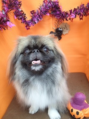 『サラサラ～♪』