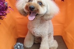 『短くしてもらってスッキリ！！』