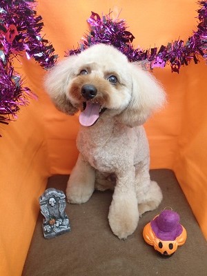 『短くしてもらってスッキリ！！』