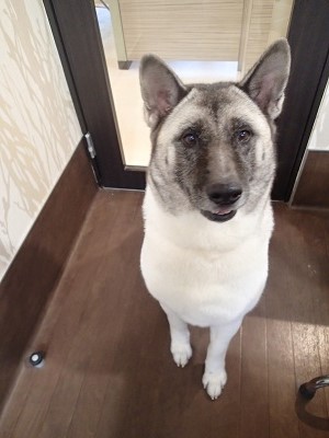 『スッキリしてもらいました!!』