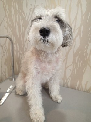 『今回もよろしくお願いします!』