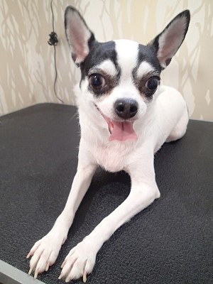 『いつもだけど、緊張するなー』