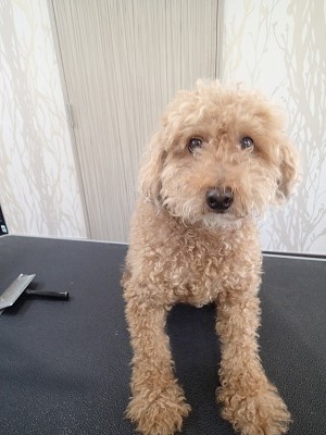 『スッキリしてください！』