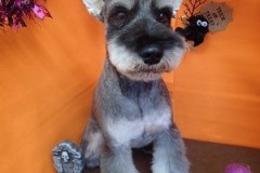 『今回もスッキリしてもらえました！』