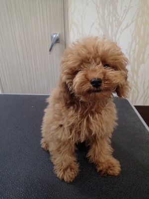 『ドキドキしますね。』