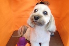 『今回もスッキリ☆』