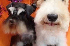 『今回も真っ白になりました♪』