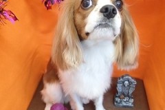 『つるつる～♪』