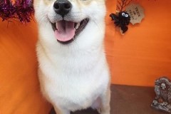 『疲れたー！！』