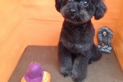 『スッキリしましたー！』