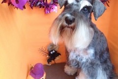 『ハロウィンだねー！』