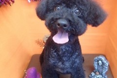 『サッパリ可愛くしてもらったよ♪』