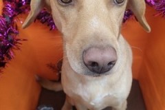 『サラサラにサッパリしたー！』