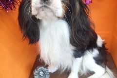 『今日もサッパリ！！』