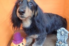 『整えてもらったよ♪』