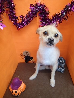 『さて、泊りもがんばろ!』