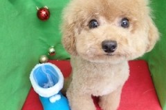 『ふわっふわ～♪』