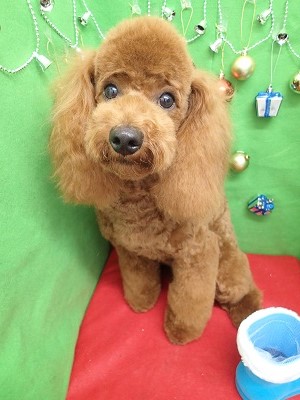 『スッキリしました♪』