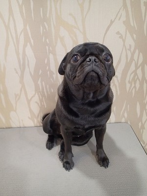 『シワのところは優しめに…』