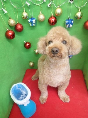 『やっぱりこうじゃないと!』