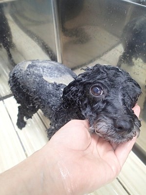 『パックっていいよね♪』