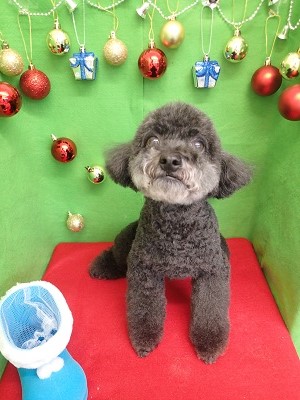 『サッパリしました♪』