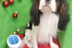 『今日はホントにいっぱいだね！』