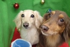 『サラサラになりました♪』