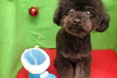 『ふわふわで、全身スッキリだ～♪』