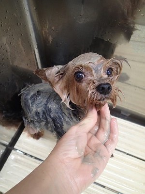 『これは眠くなるね!』