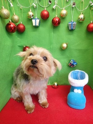 『なんか肌の感じ違うよね?!』