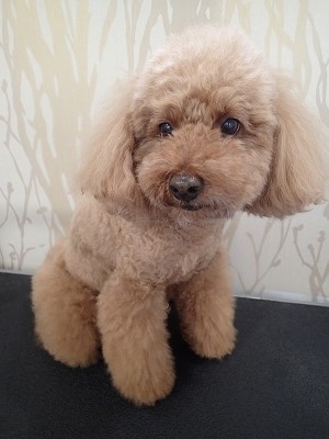 『もう一か月たったっけ？』